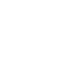 Snowflake Png Image PNG Image