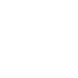 Snowflake Png Image PNG Image