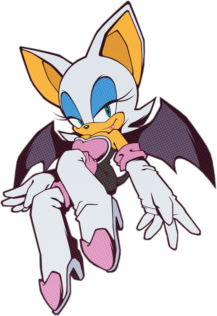 Sonic The Rouge Bat X PNG Image