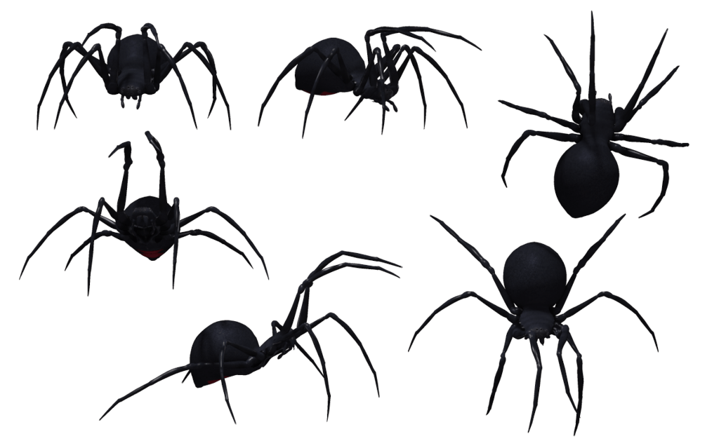 Black Widow Spider Png Image PNG Image