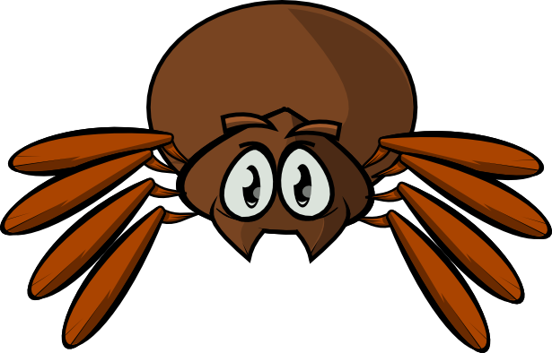 Cute Spider PNG Image