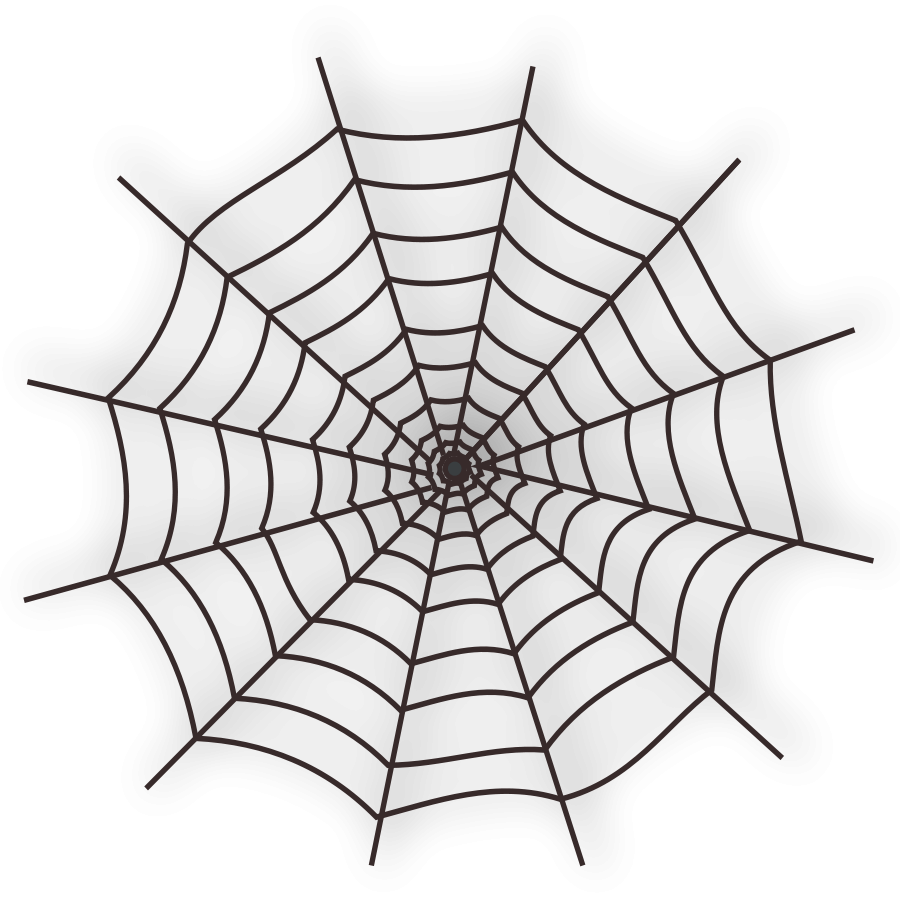 Spider Web PNG Image