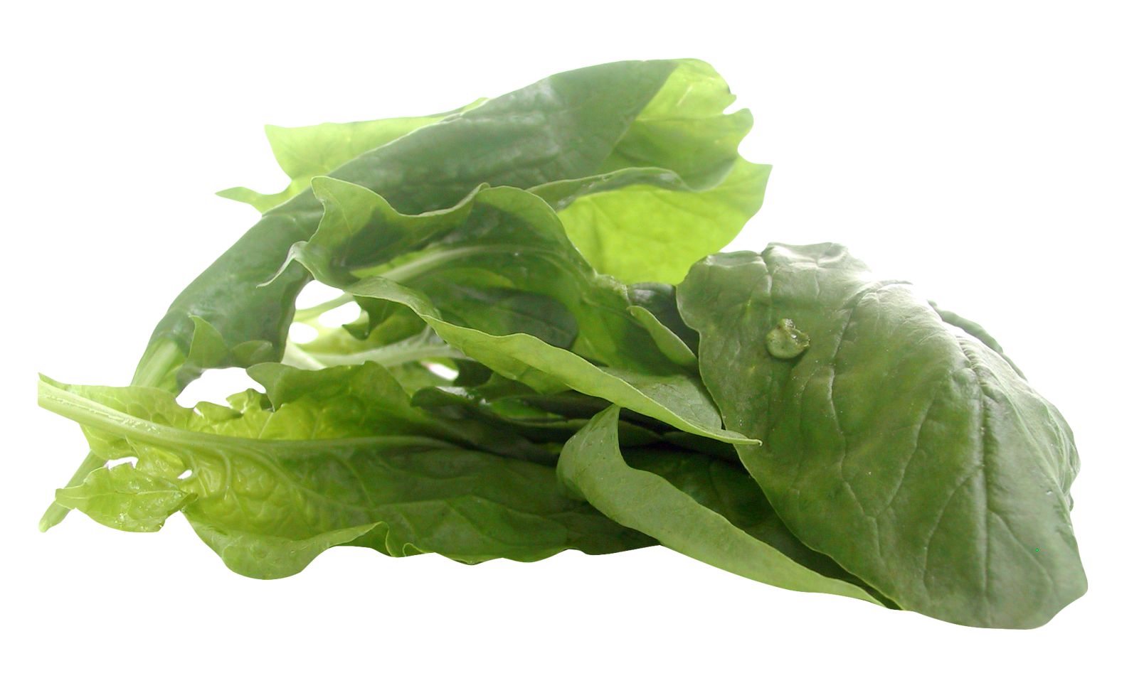 Leaves Green Spinach Free Clipart HQ PNG Image