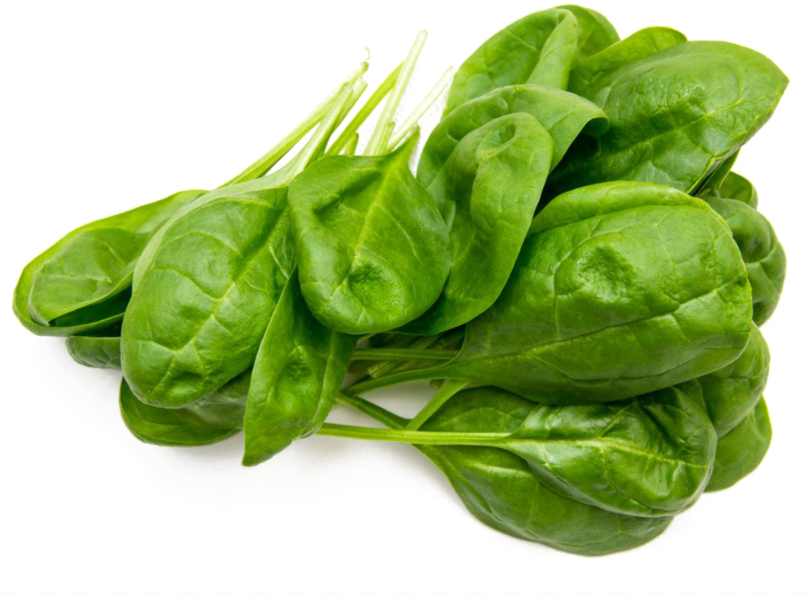 Green Organic Spinach Free Transparent Image HD PNG Image