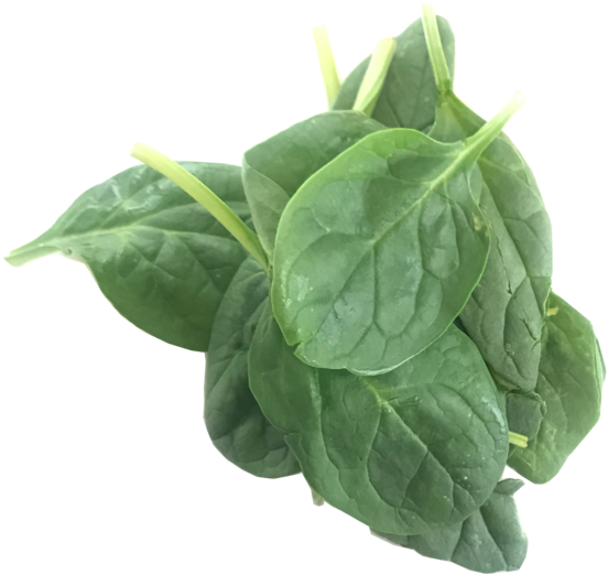 Green Organic Spinach Free Transparent Image HD PNG Image