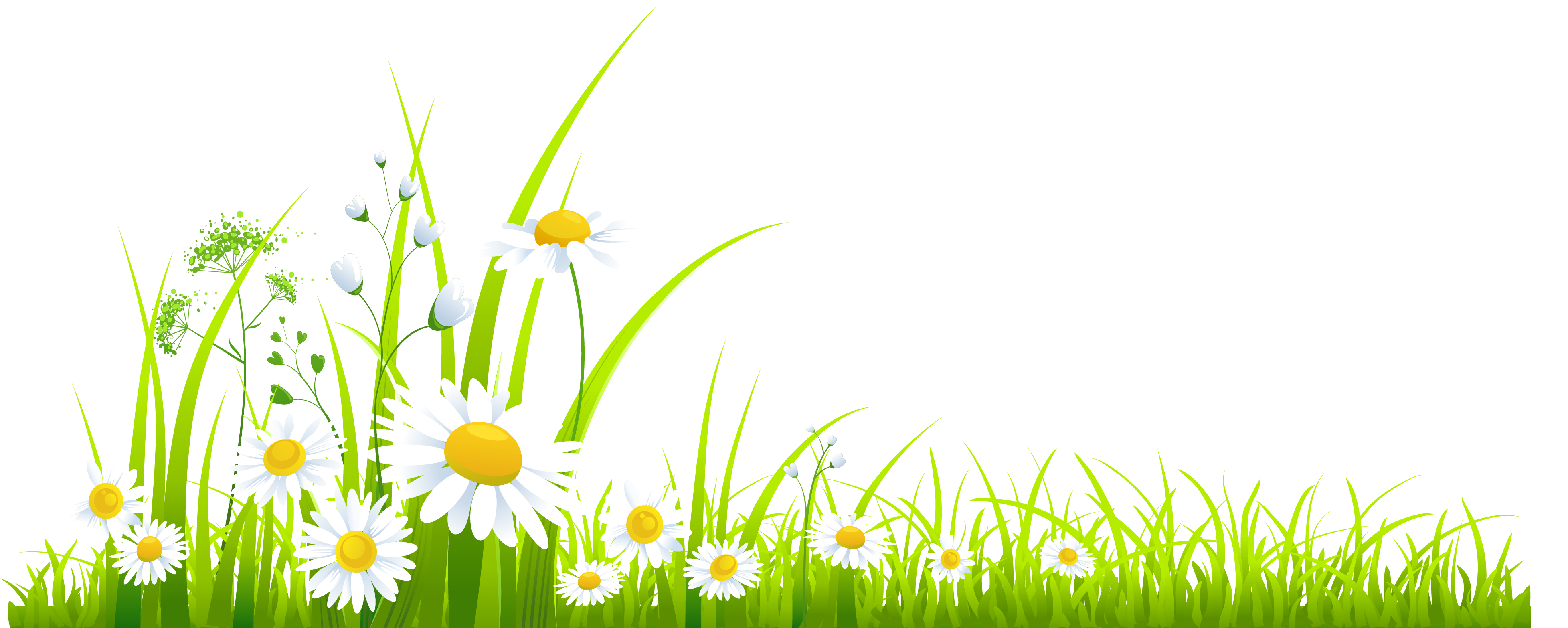 Spring Download Png PNG Image