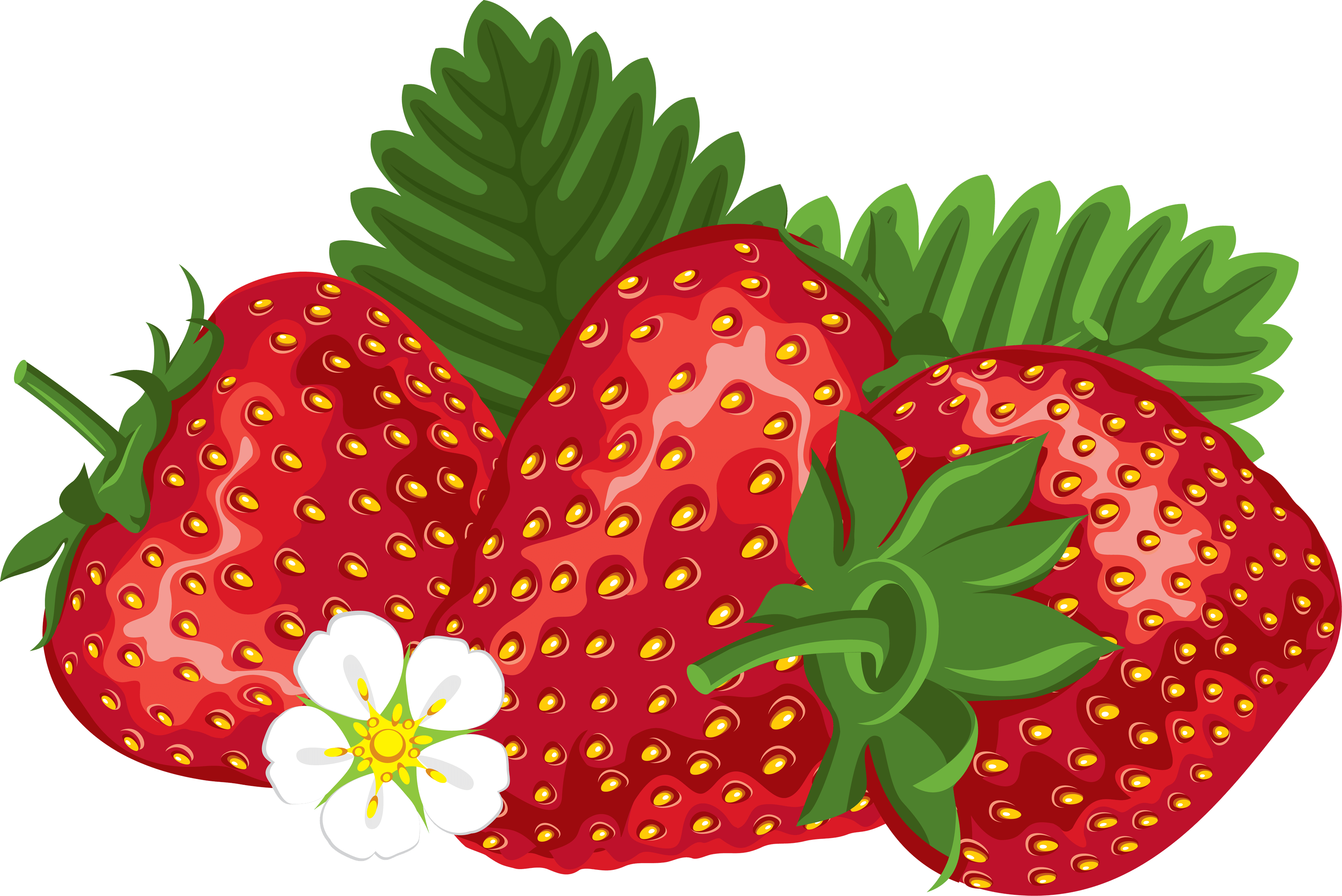 Strawberry Png Images PNG Image