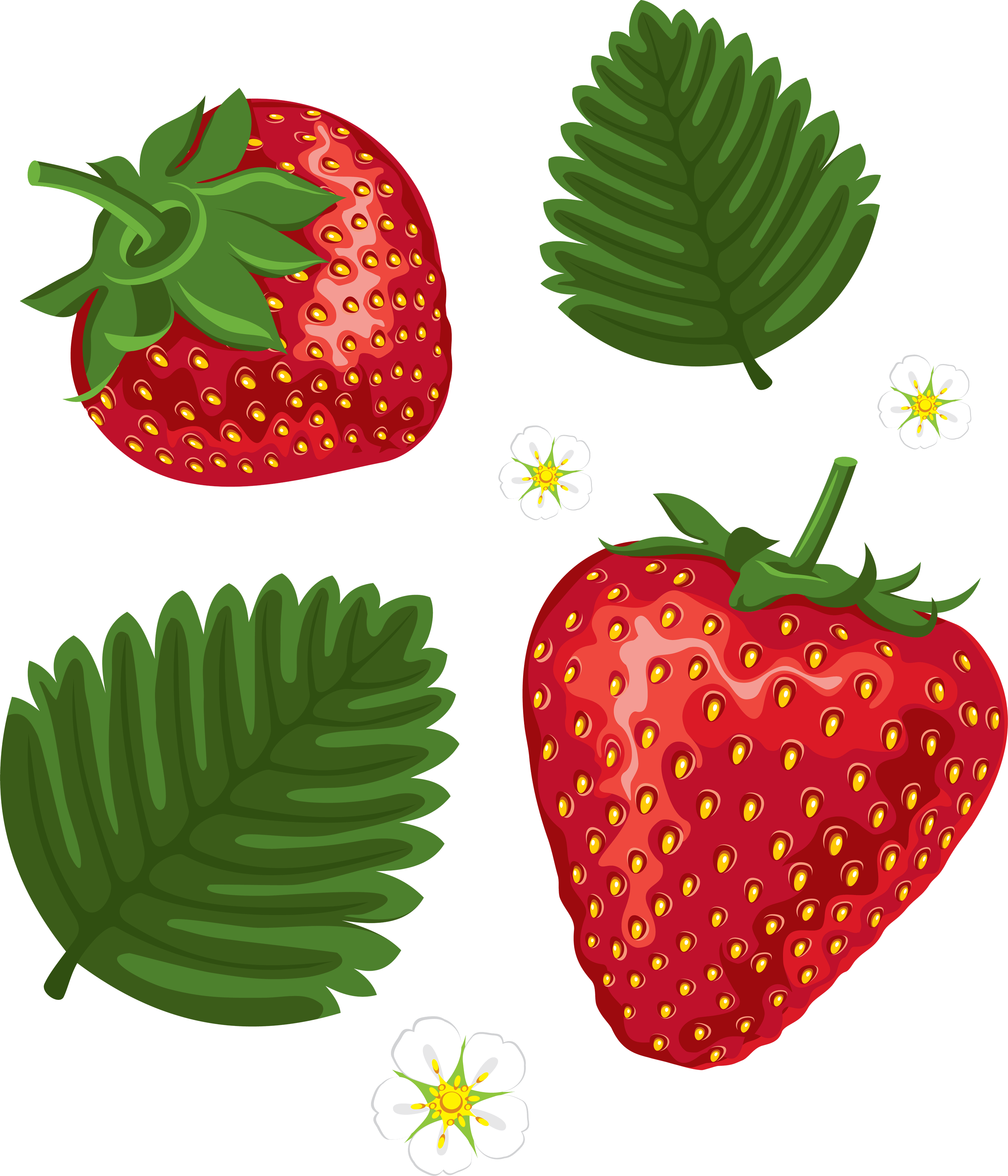 Strawberry Png Images PNG Image