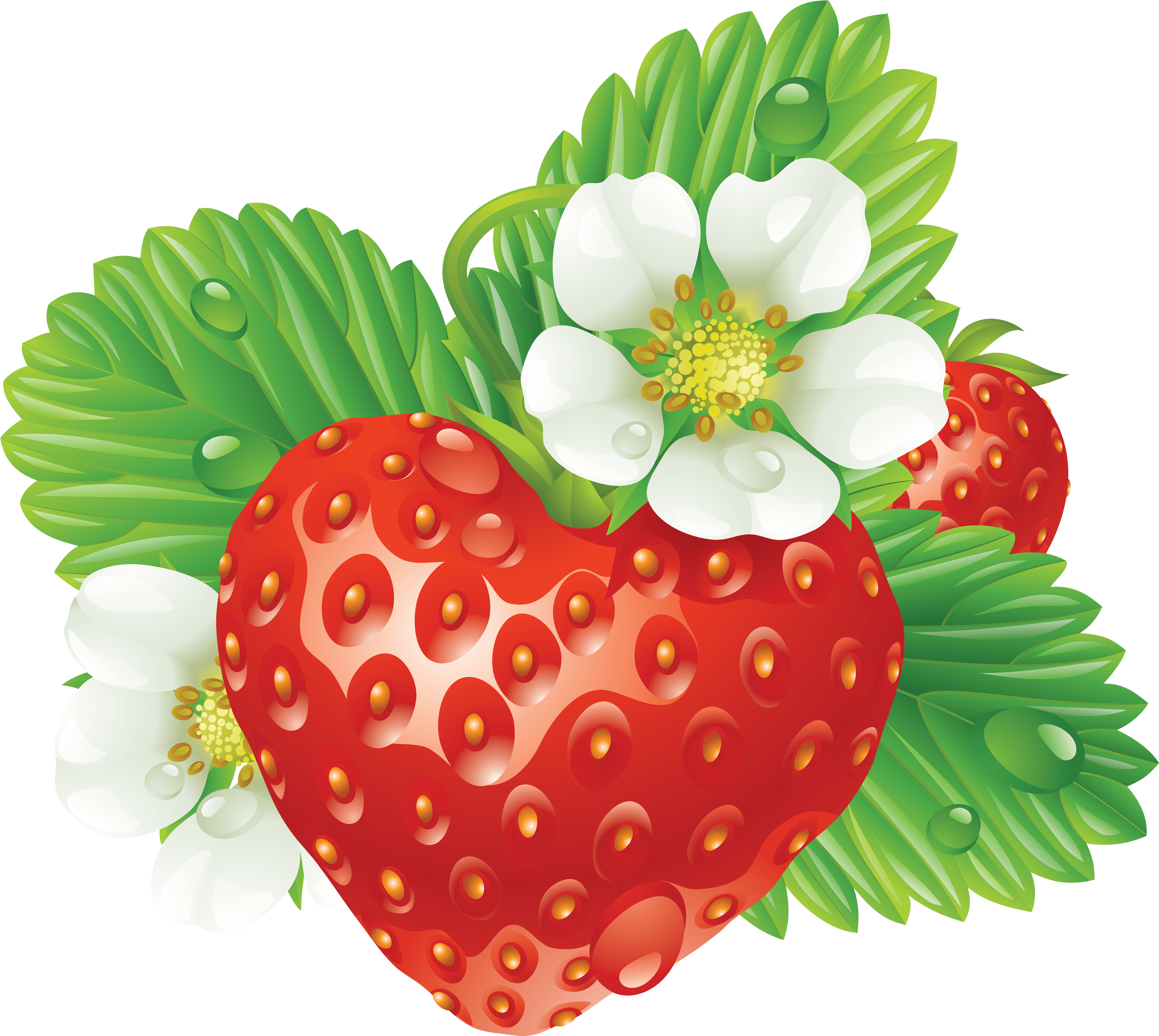 Strawberry Png Images PNG Image