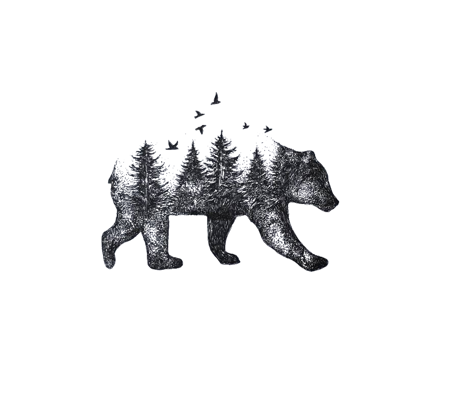 Idea Tattoo Drawing Bear Nature Free HD Image PNG Image