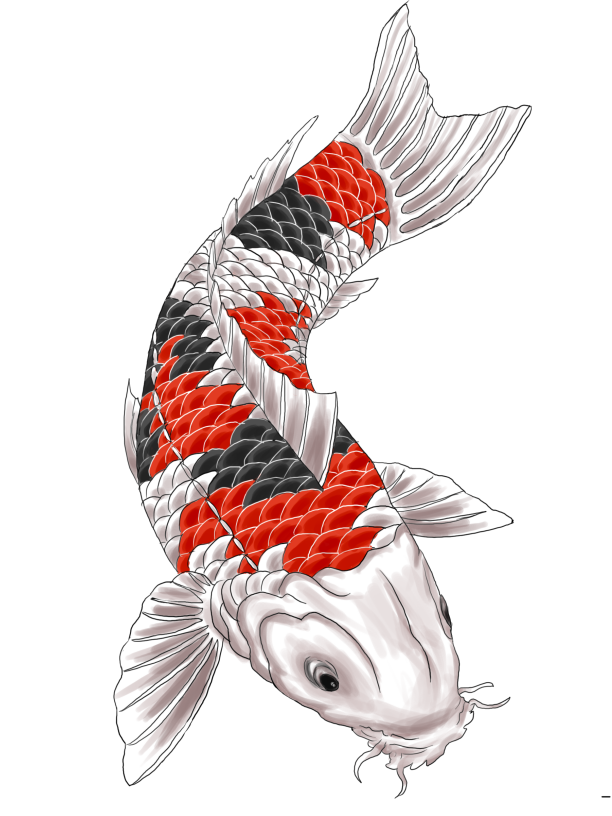 Koi Tattoo Irezumi Japan HD Image Free PNG PNG Image