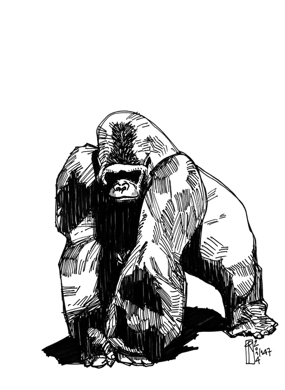 Tattoo Gorilla Western Groovanometry Phaeleh Drawing PNG Image