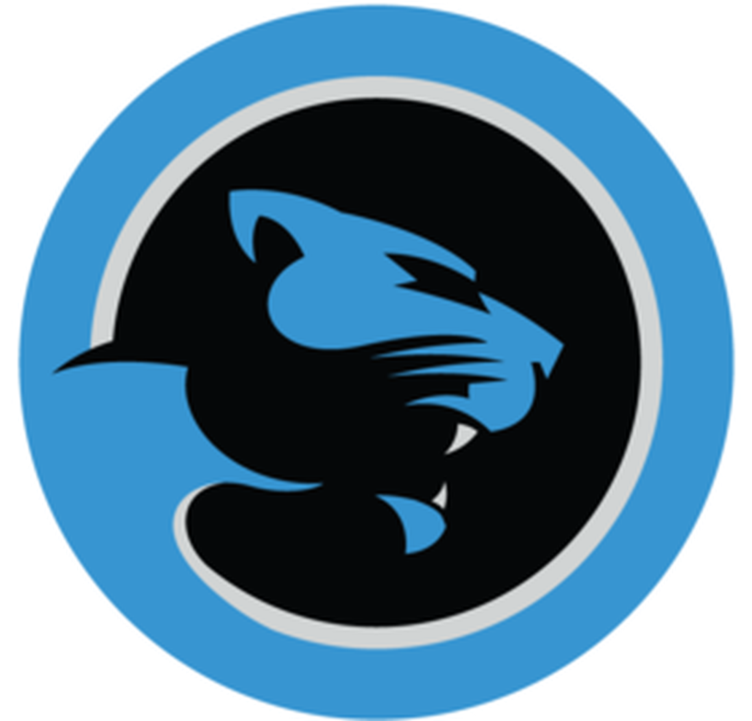 Panthers Carolina PNG Image High Quality PNG Image