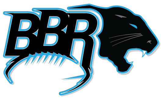 Panthers Carolina Free HD Image PNG Image