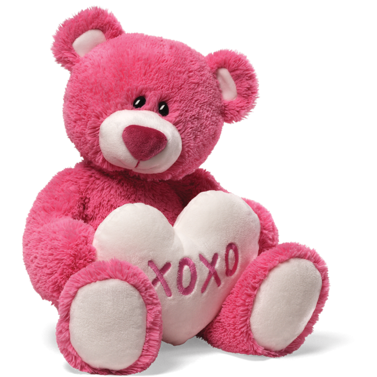 Teddy Bear Png Hd PNG Image