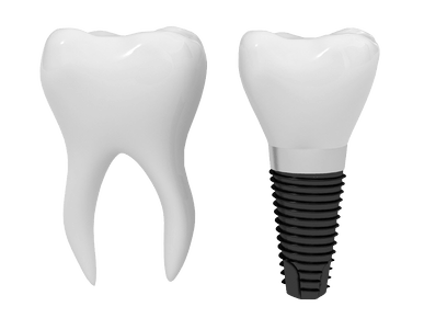 Tooth Png Image PNG Image