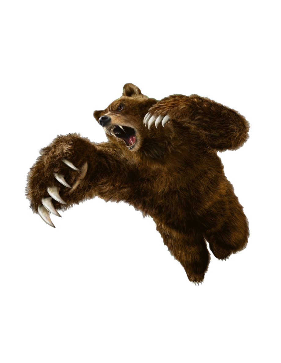 Tekken Kuma Bear PNG File HD PNG Image