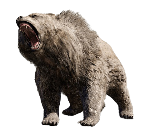 Tekken Kuma Bear Free Transparent Image HD PNG Image