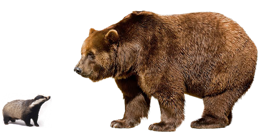 Tekken Kuma Bear PNG File HD PNG Image