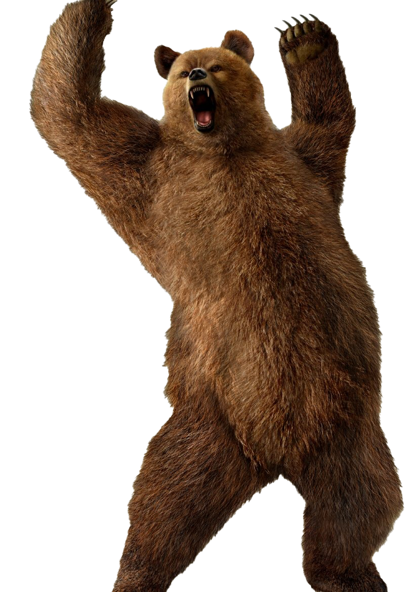 Tekken Kuma Bear Free Clipart HQ PNG Image