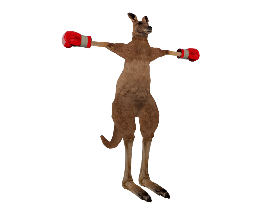 Kangaroo Roger HD Image Free PNG Image