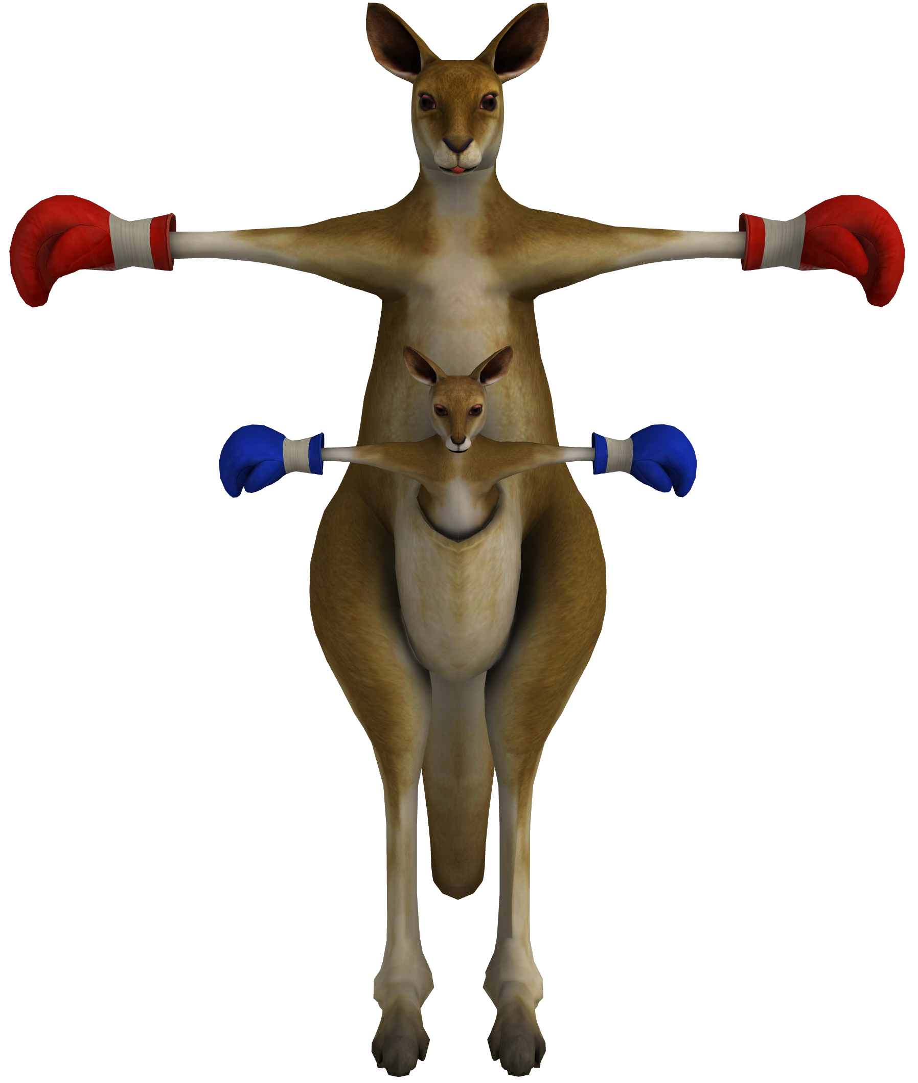 Kangaroo Roger Download HQ PNG Image