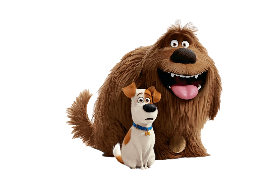 Of The Life Secret Pets PNG Image