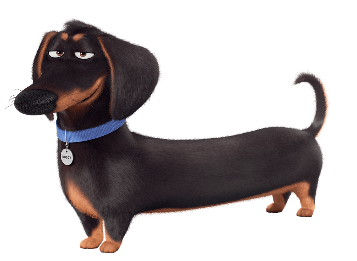 Of The Life Secret Pets PNG Image