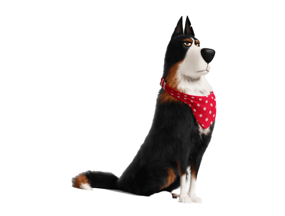 Of The Life Secret Pets PNG Image