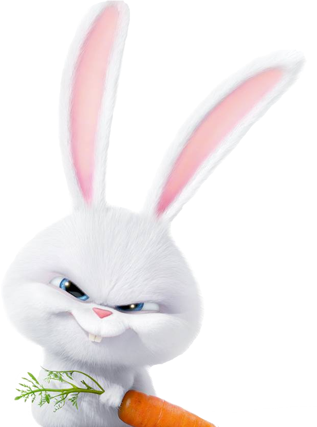 Life Pets Of Snowball Photos Secret Rabbit PNG Image