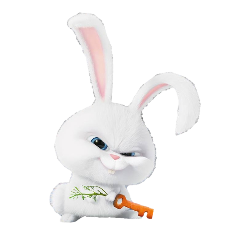 Life Pets Of Snowball Secret Rabbit The PNG Image