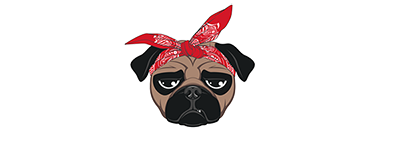 Pug Life Transparent PNG Image