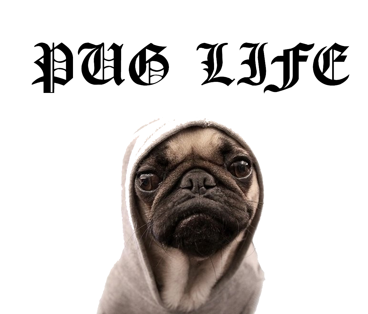 Pug Life File PNG Image