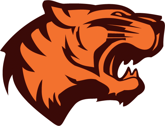 Tiger Face Image PNG Image