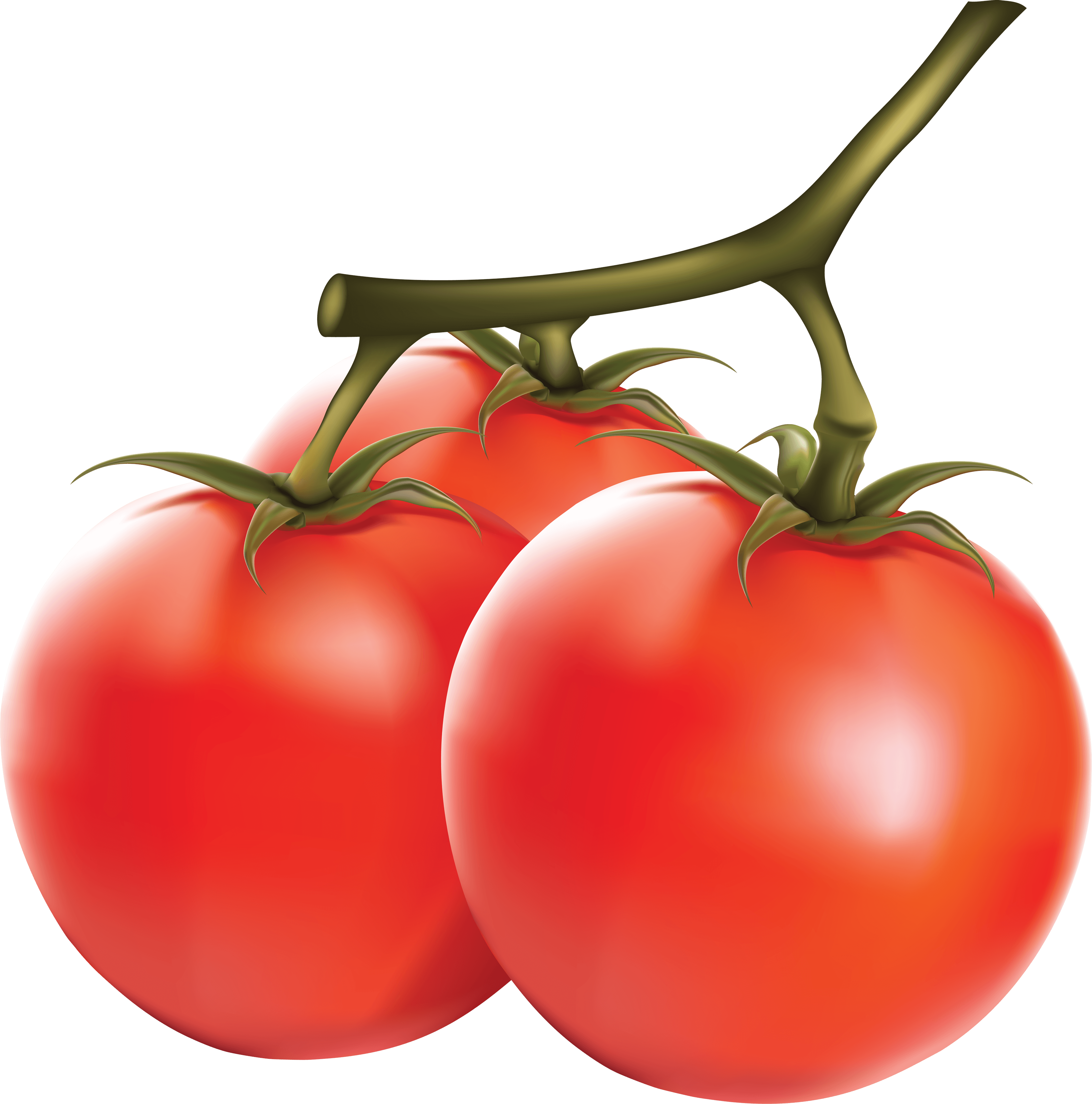 Tomato Png Image PNG Image