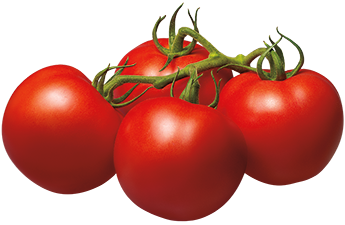 Tomato Png Image PNG Image