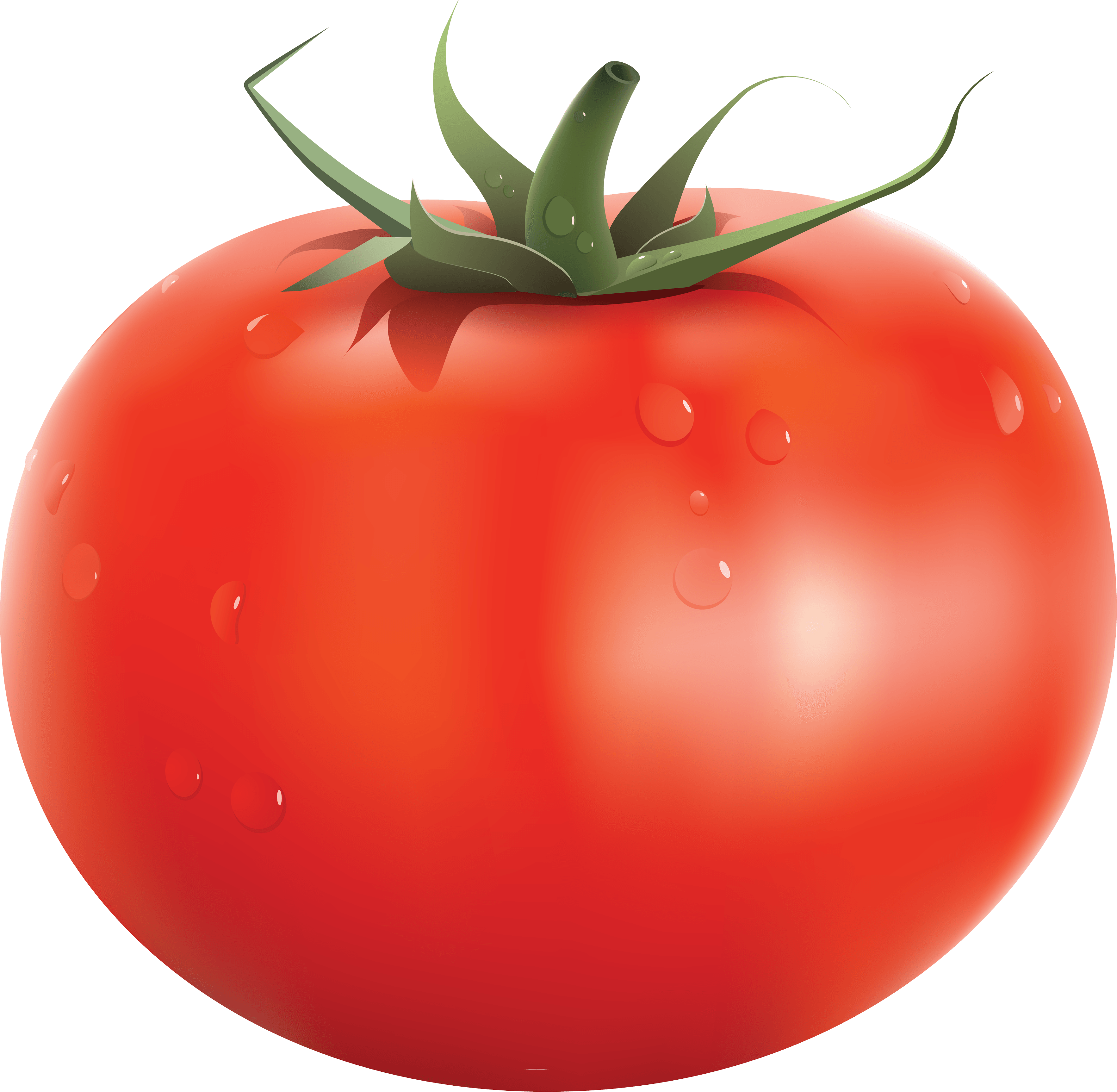 Tomato Png Image PNG Image