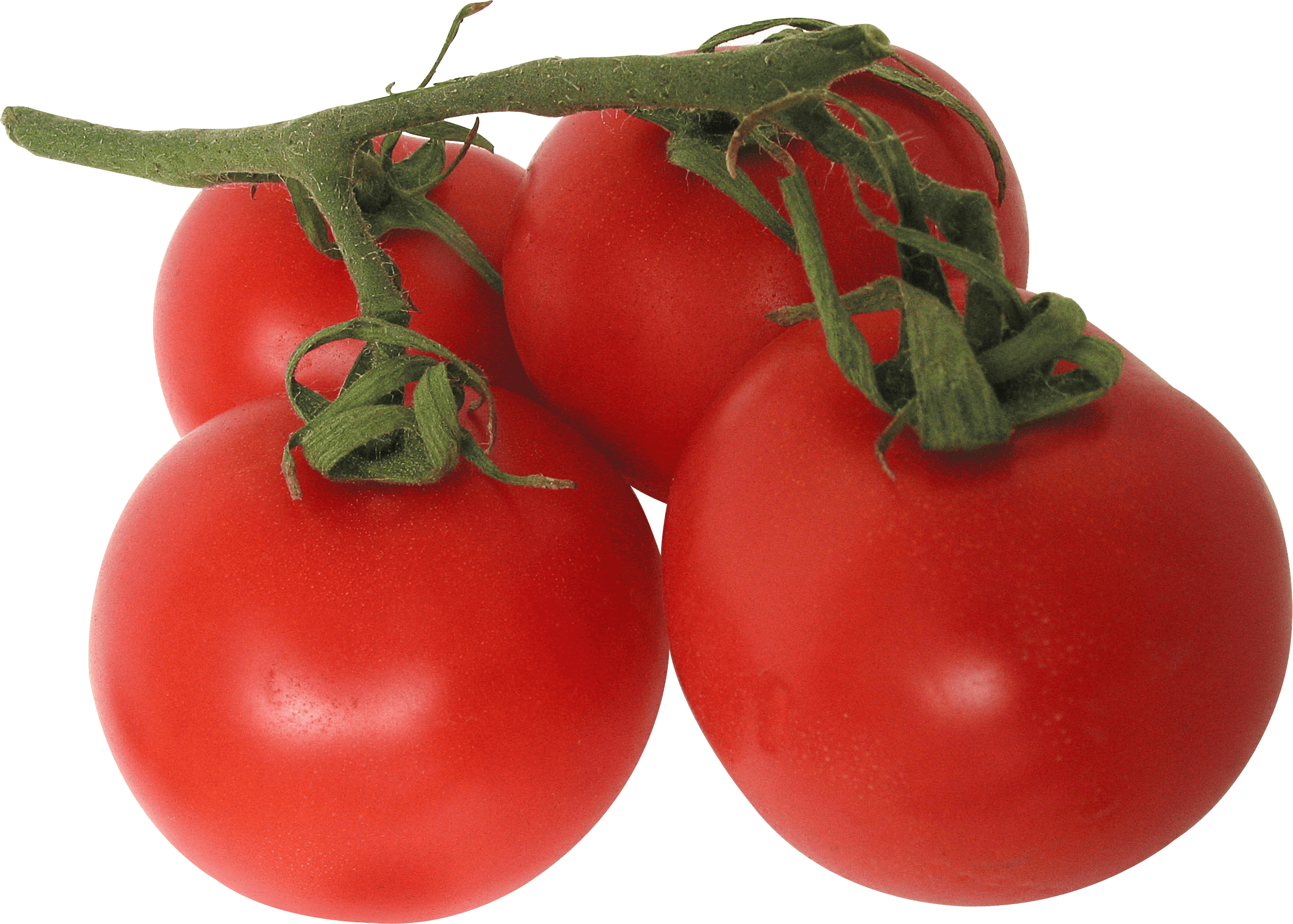 Tomato Png Image PNG Image