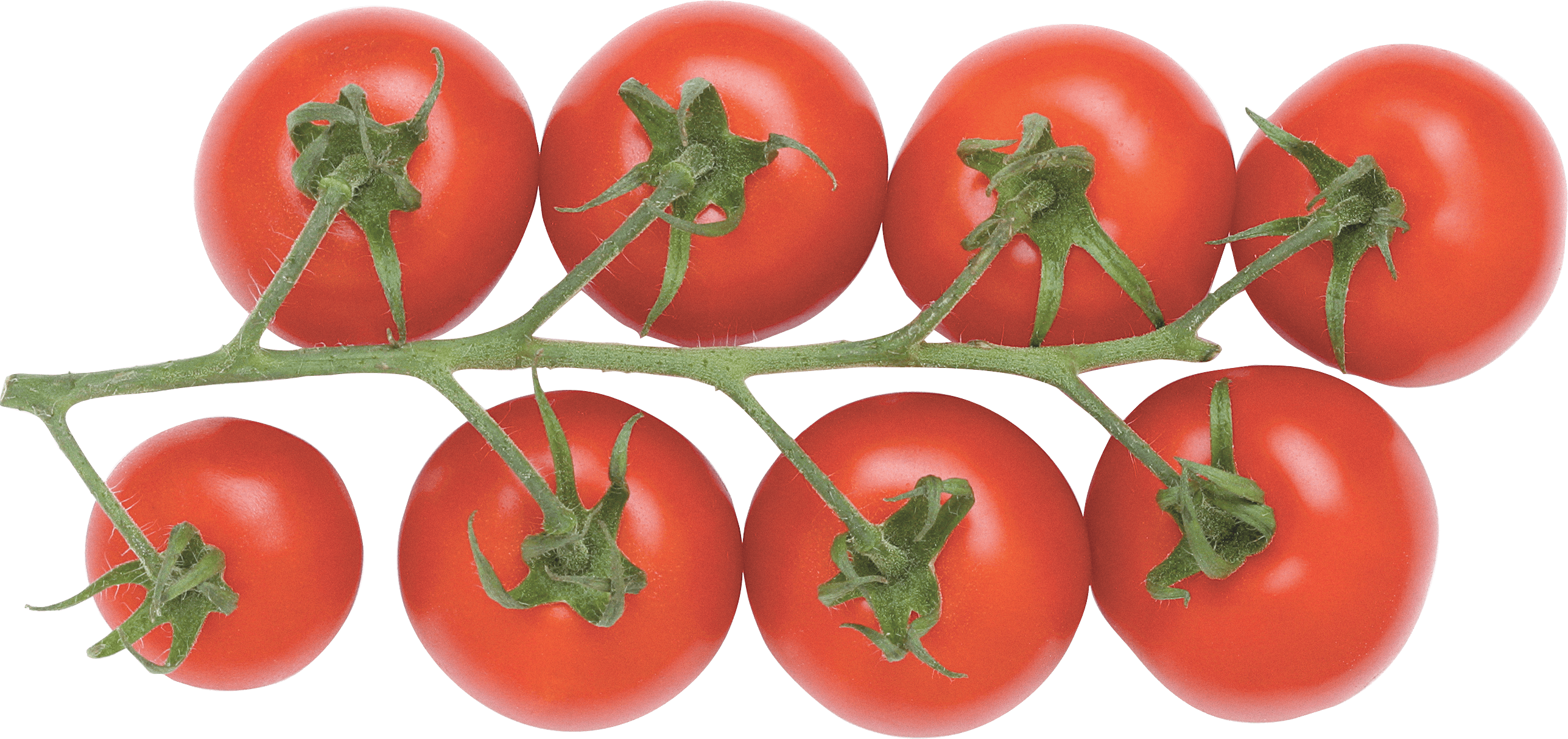 Tomato Png Image PNG Image