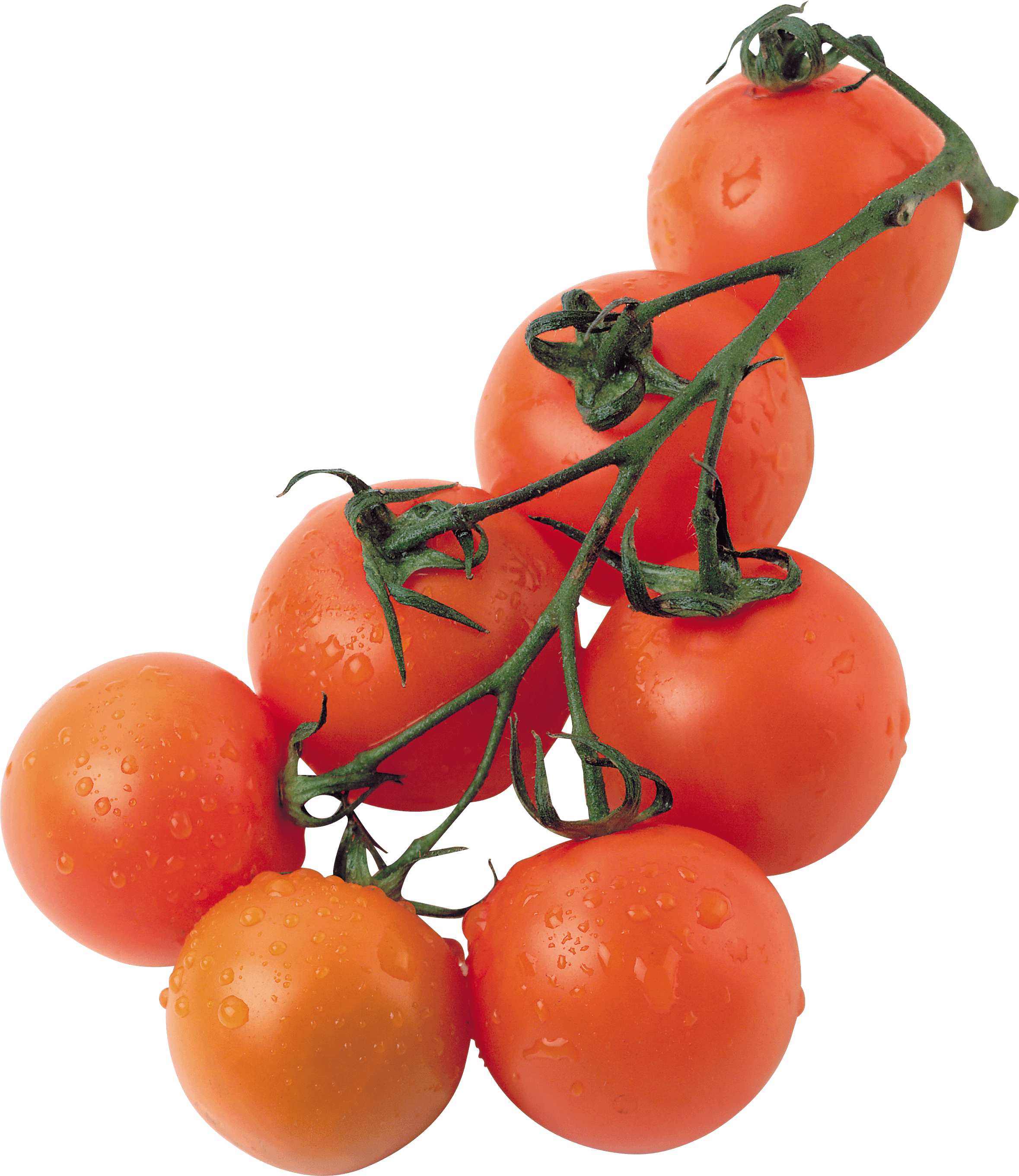 Tomato Png Image PNG Image