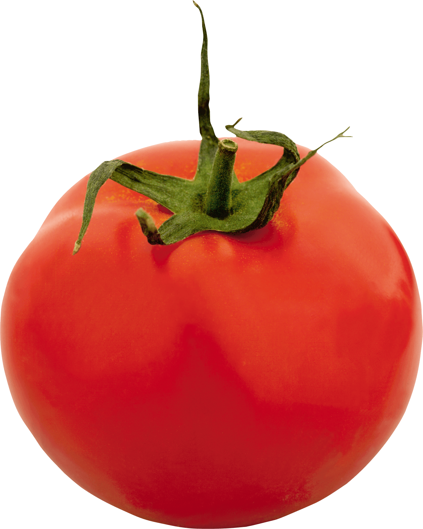 Tomato Png Image PNG Image