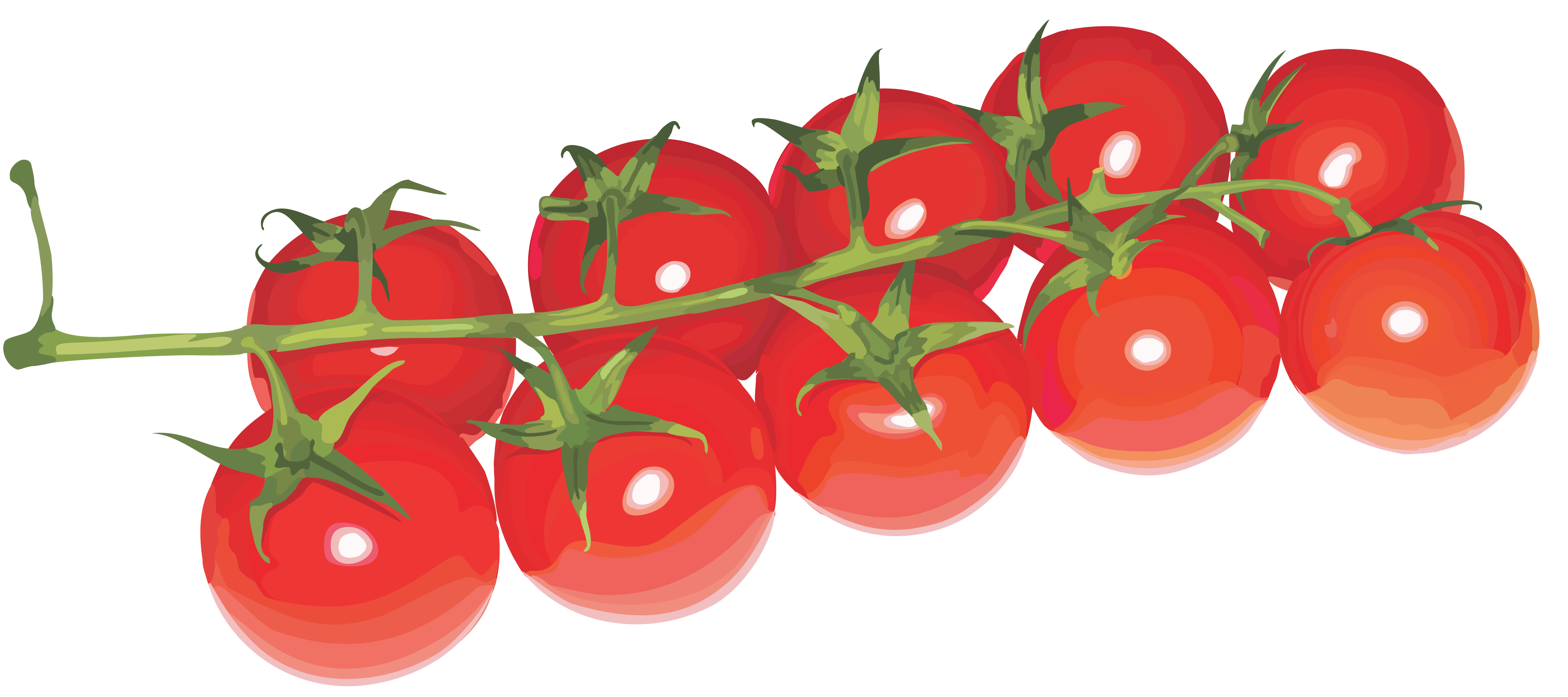 Tomato Png Image PNG Image