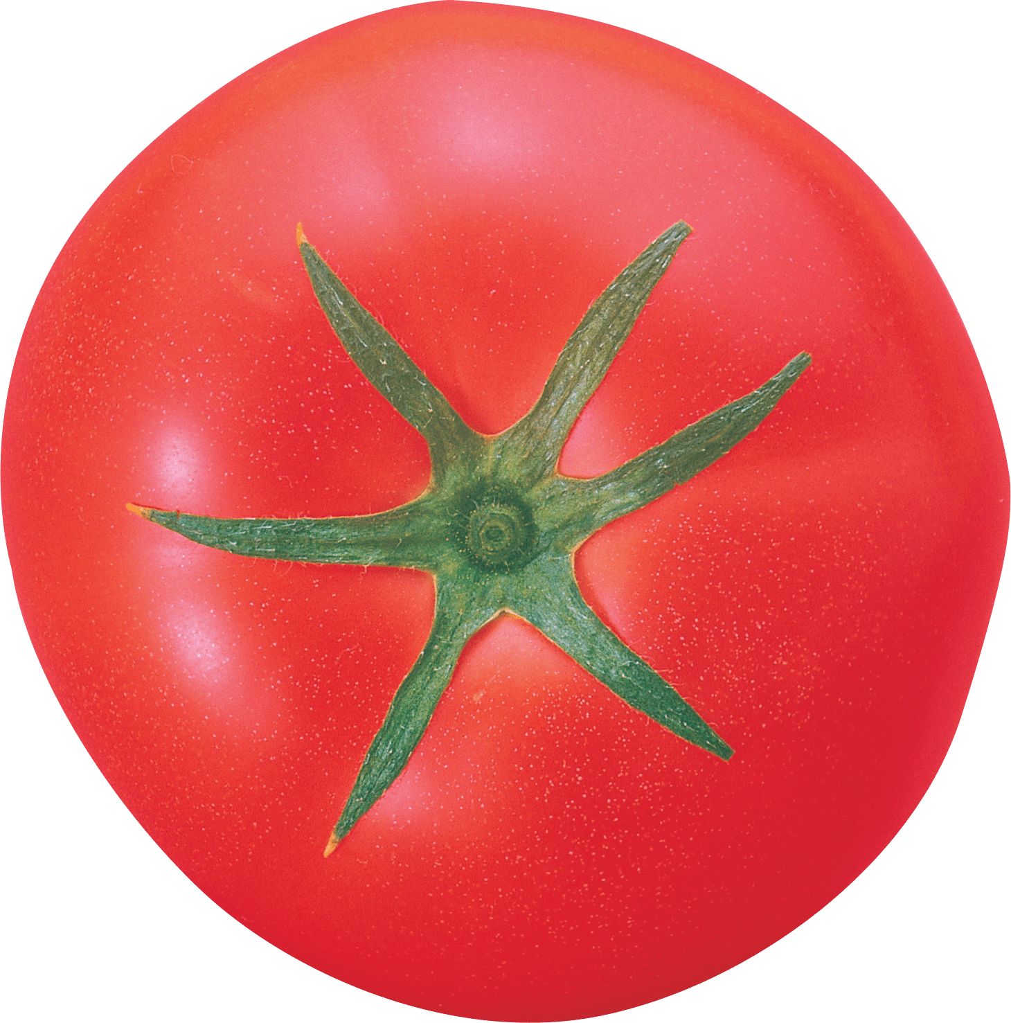 Tomato Png Image PNG Image