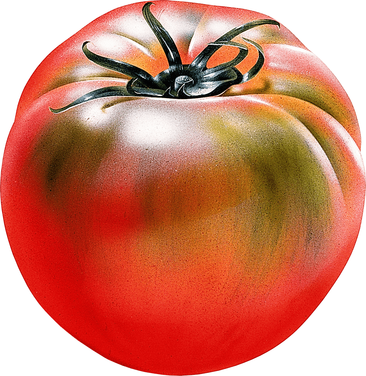 Tomato Png Image PNG Image