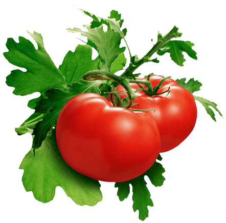 Tomato Png Image Picture Download PNG Image