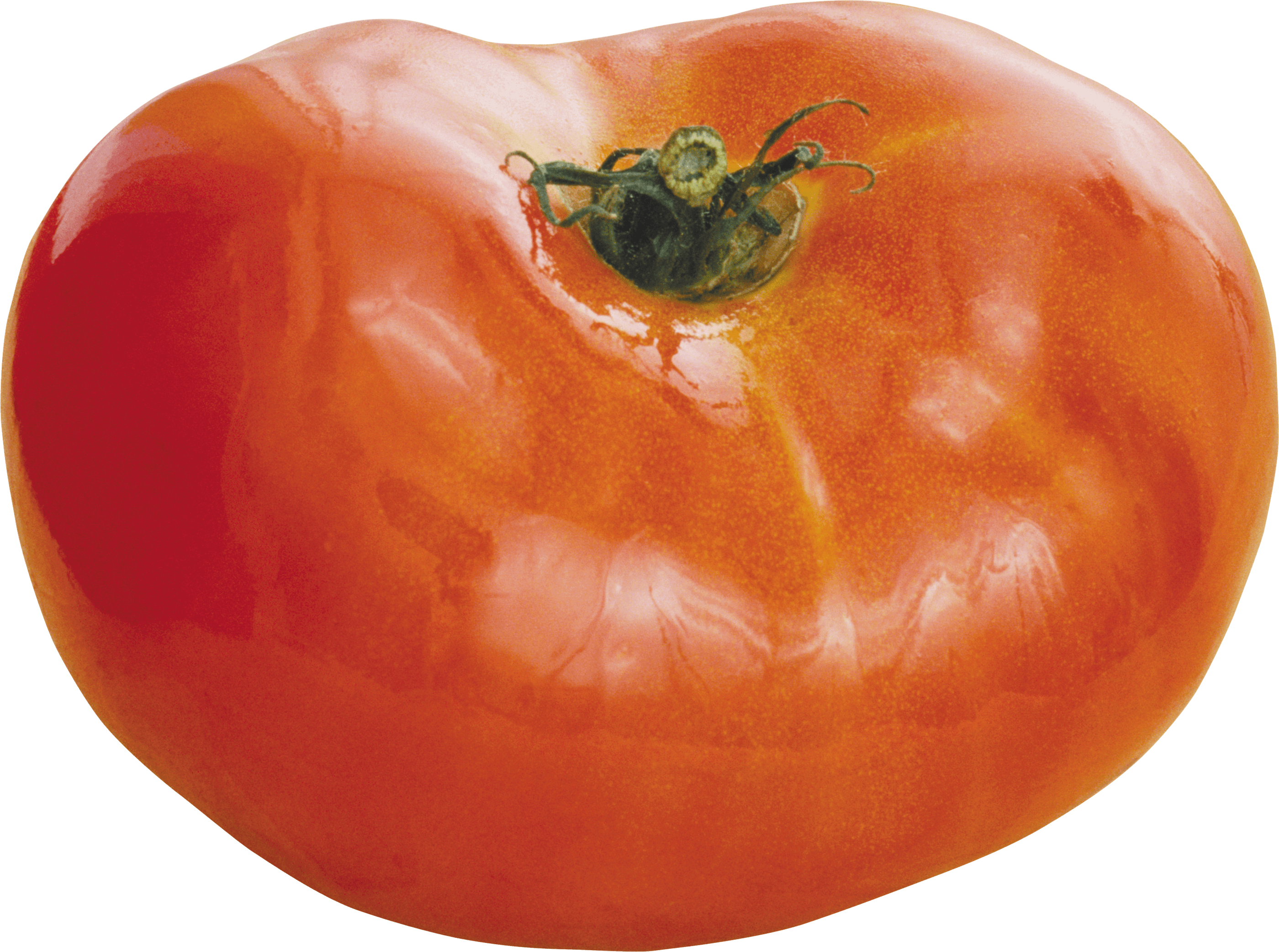 Tomato Png Image PNG Image