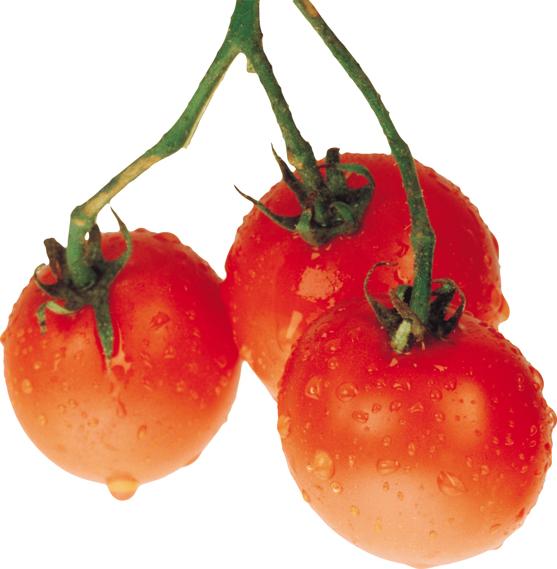 Tomato Png Image PNG Image