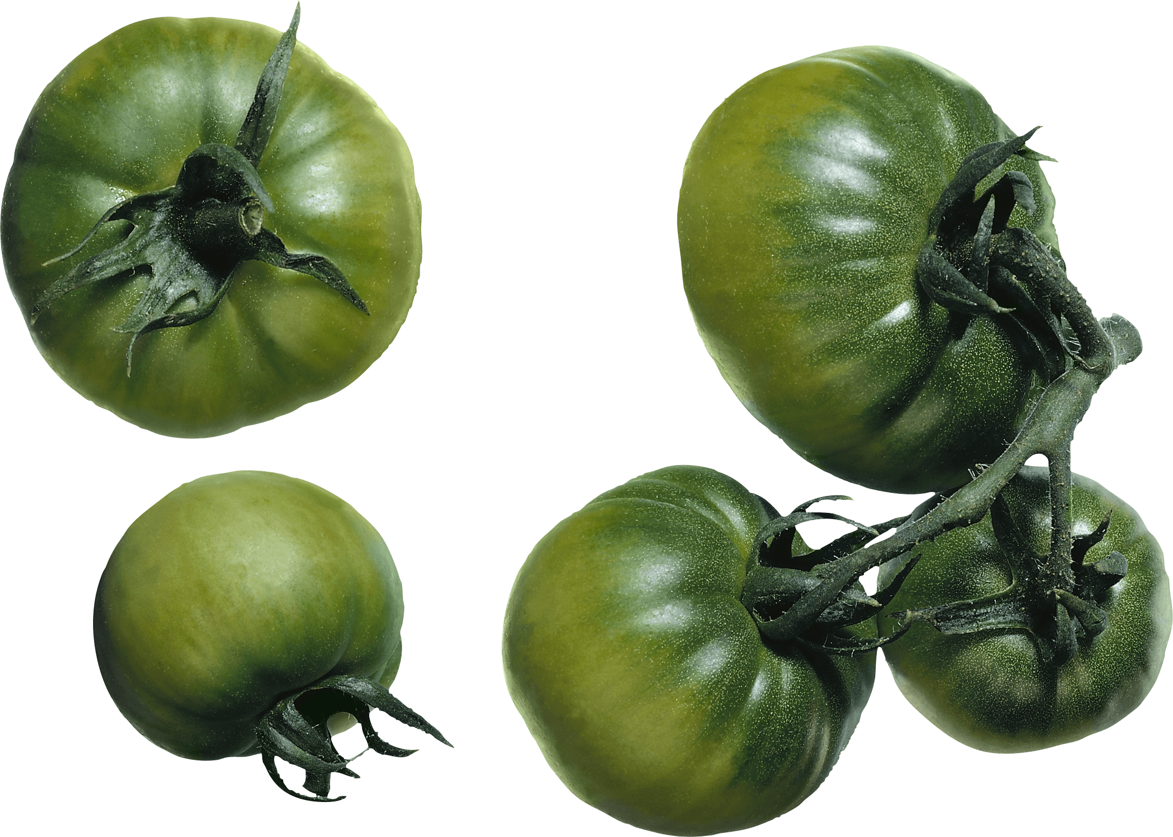 Green Tomato Png Image PNG Image