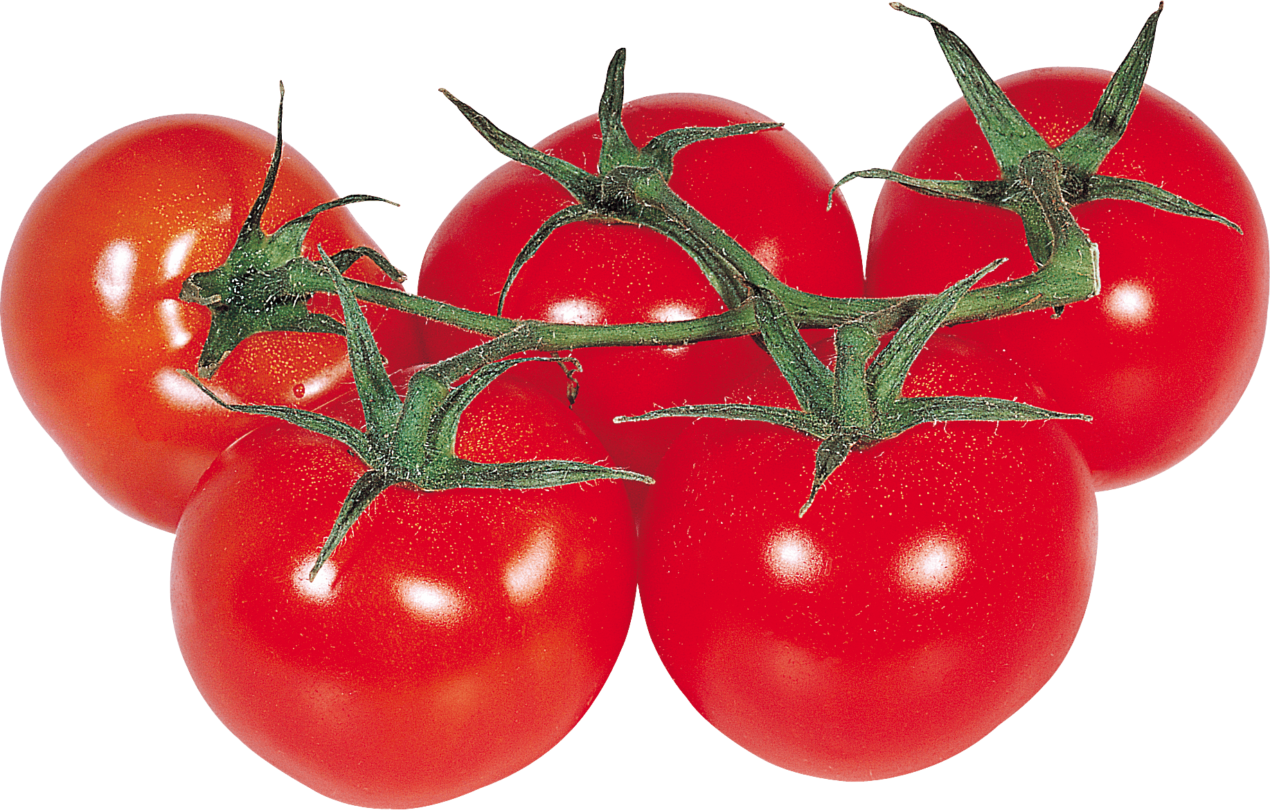 Tomato Png Image PNG Image