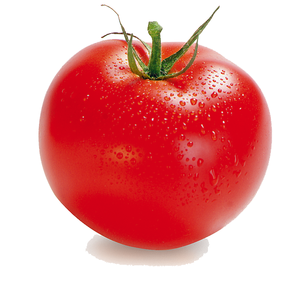 Tomato Png Clipart PNG Image